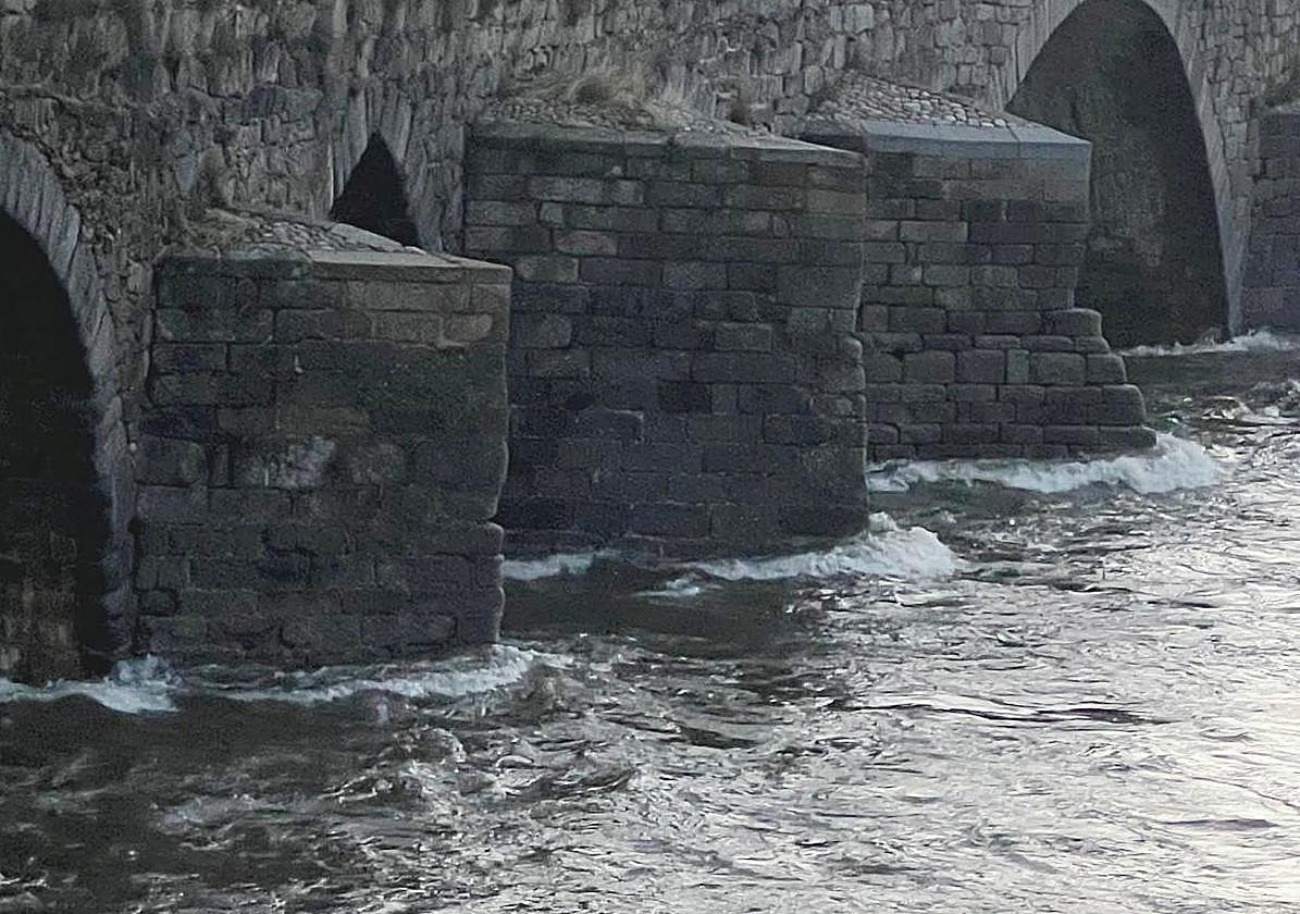 El río Tormes, este viernes a su paso por la localidad abulense de Barco de Ávila.