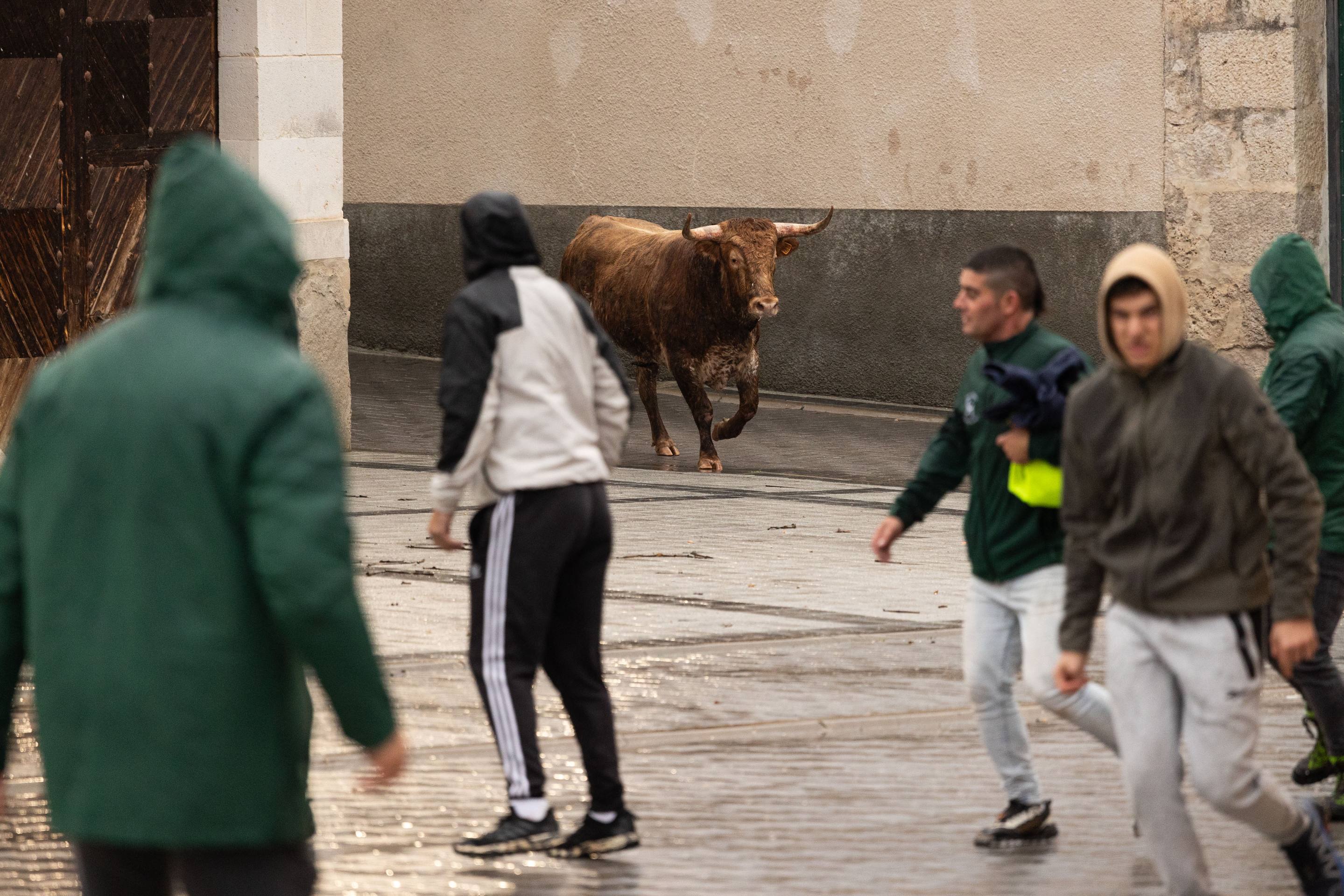 Las imágenes del encierro en Traspinedo