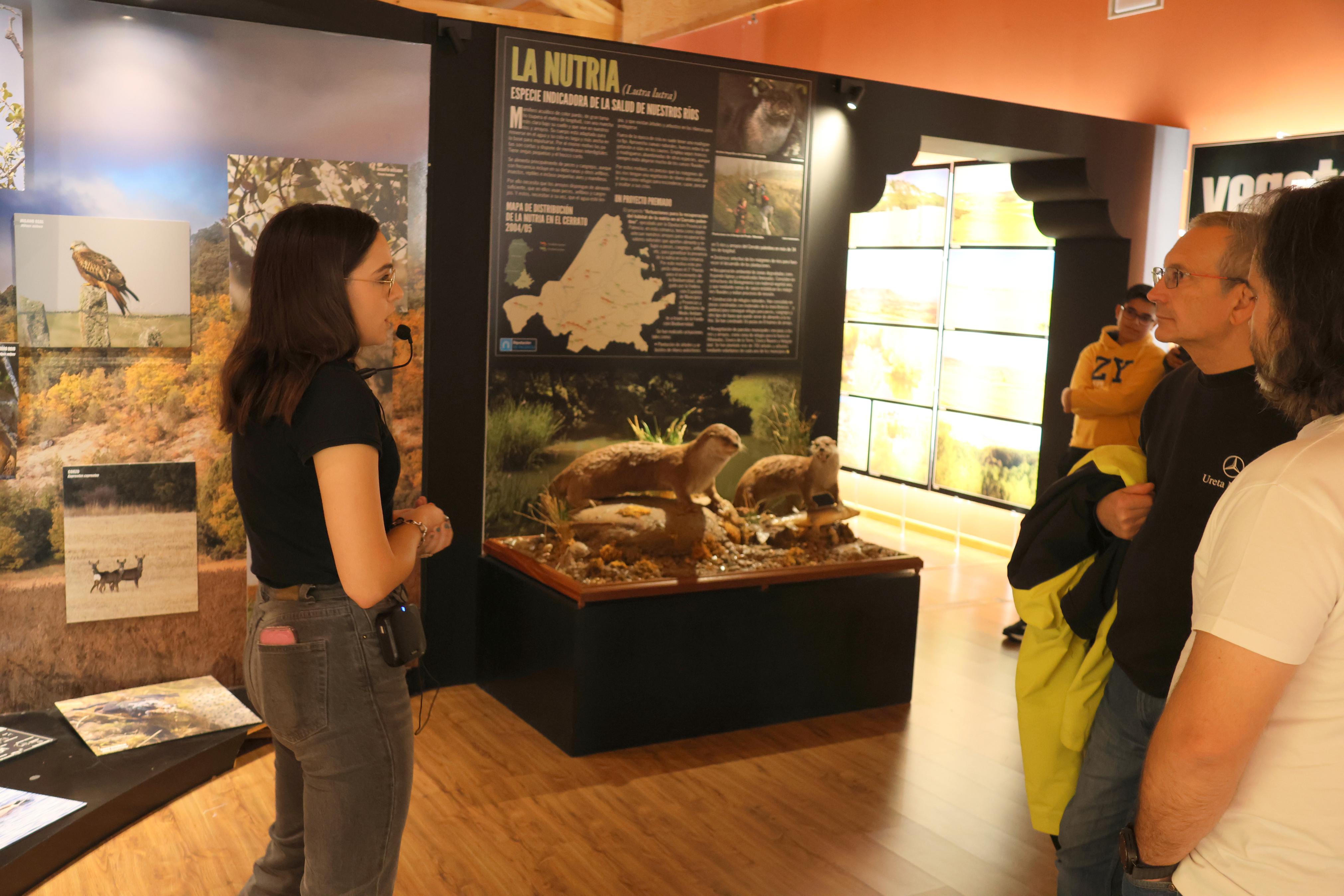 XIII Concentración de Clásicos &#039;Cooperativa del Campo San Millán&#039;