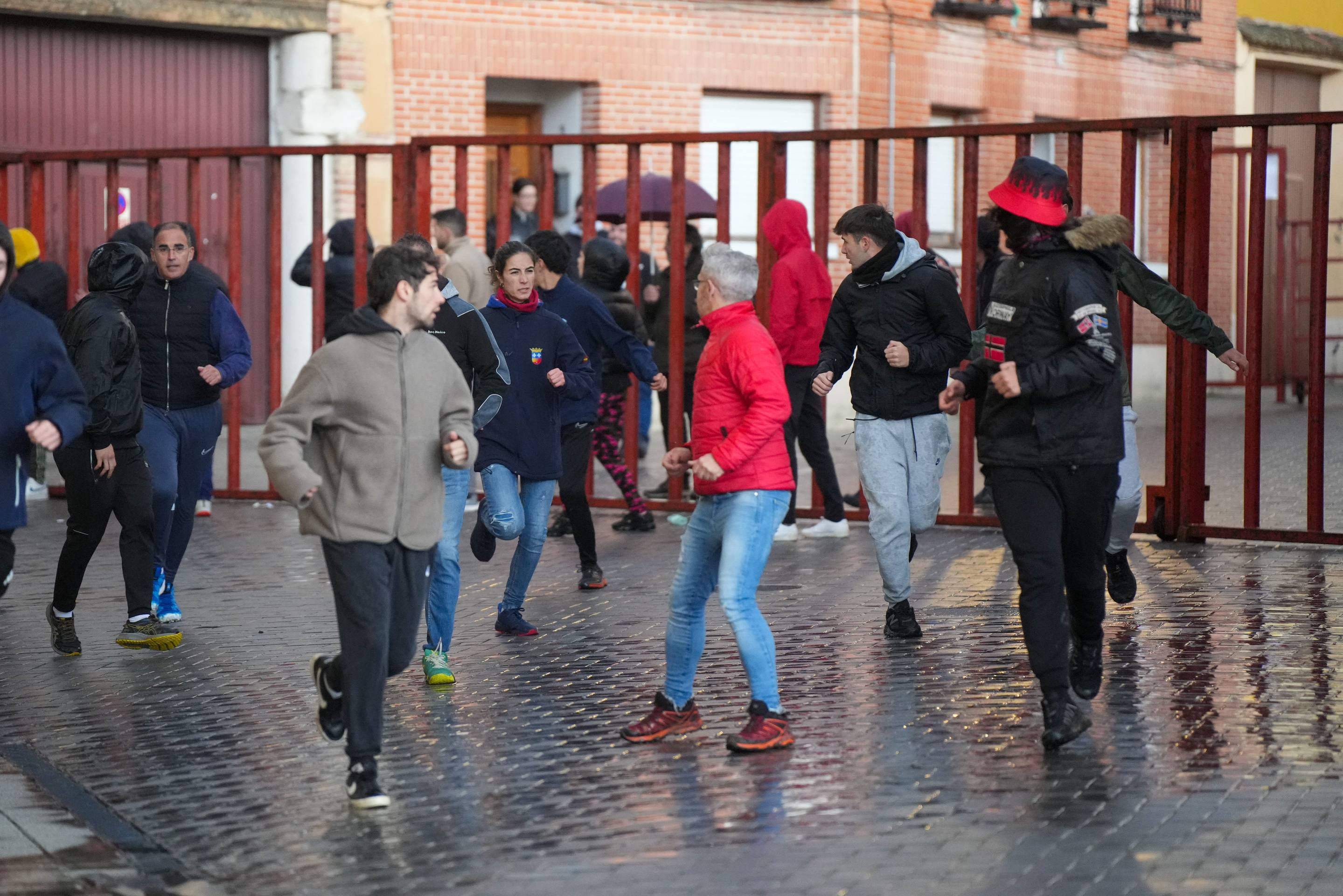 El encierro de este domingo en Traspinedo, en imágenes