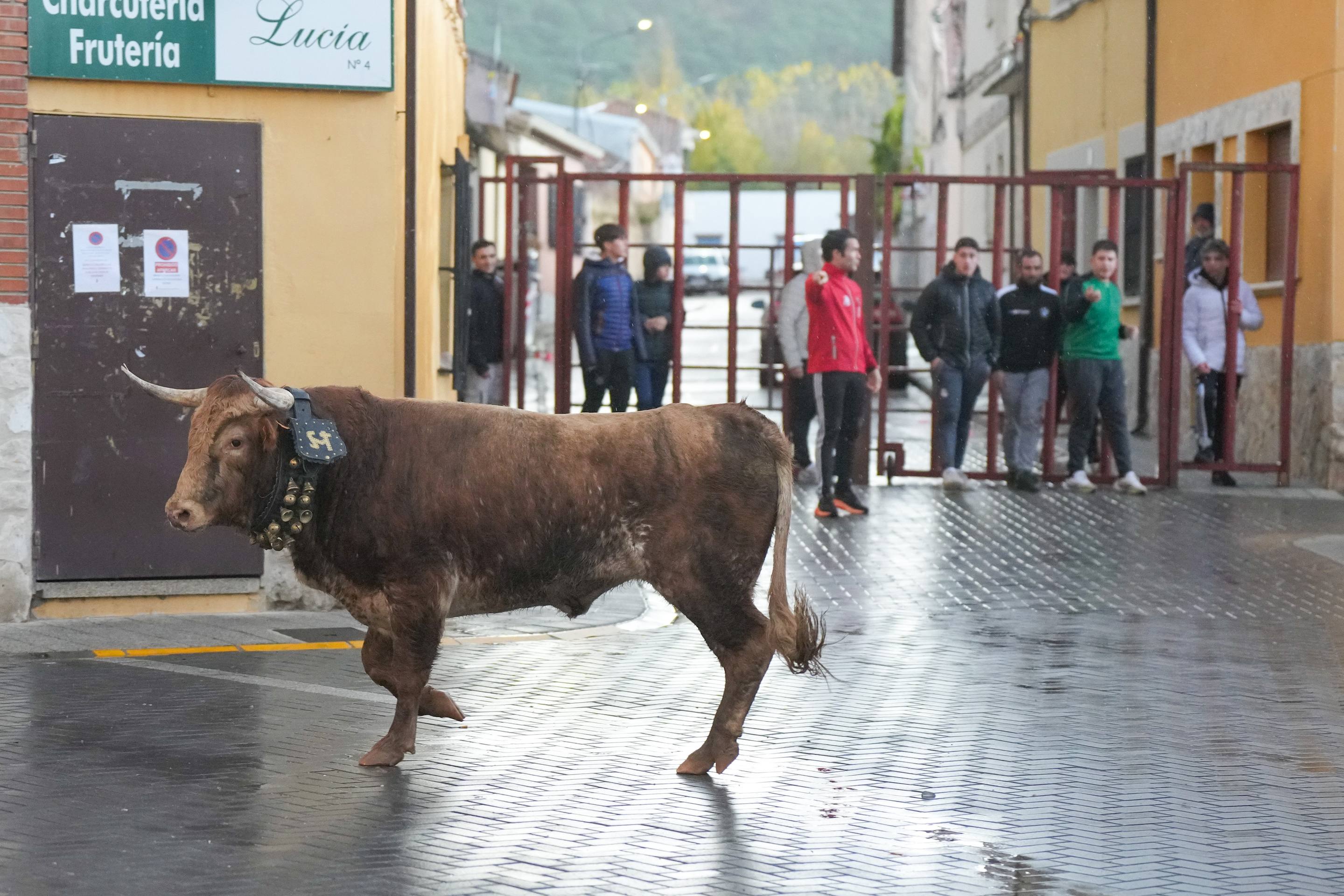 El encierro de este domingo en Traspinedo, en imágenes