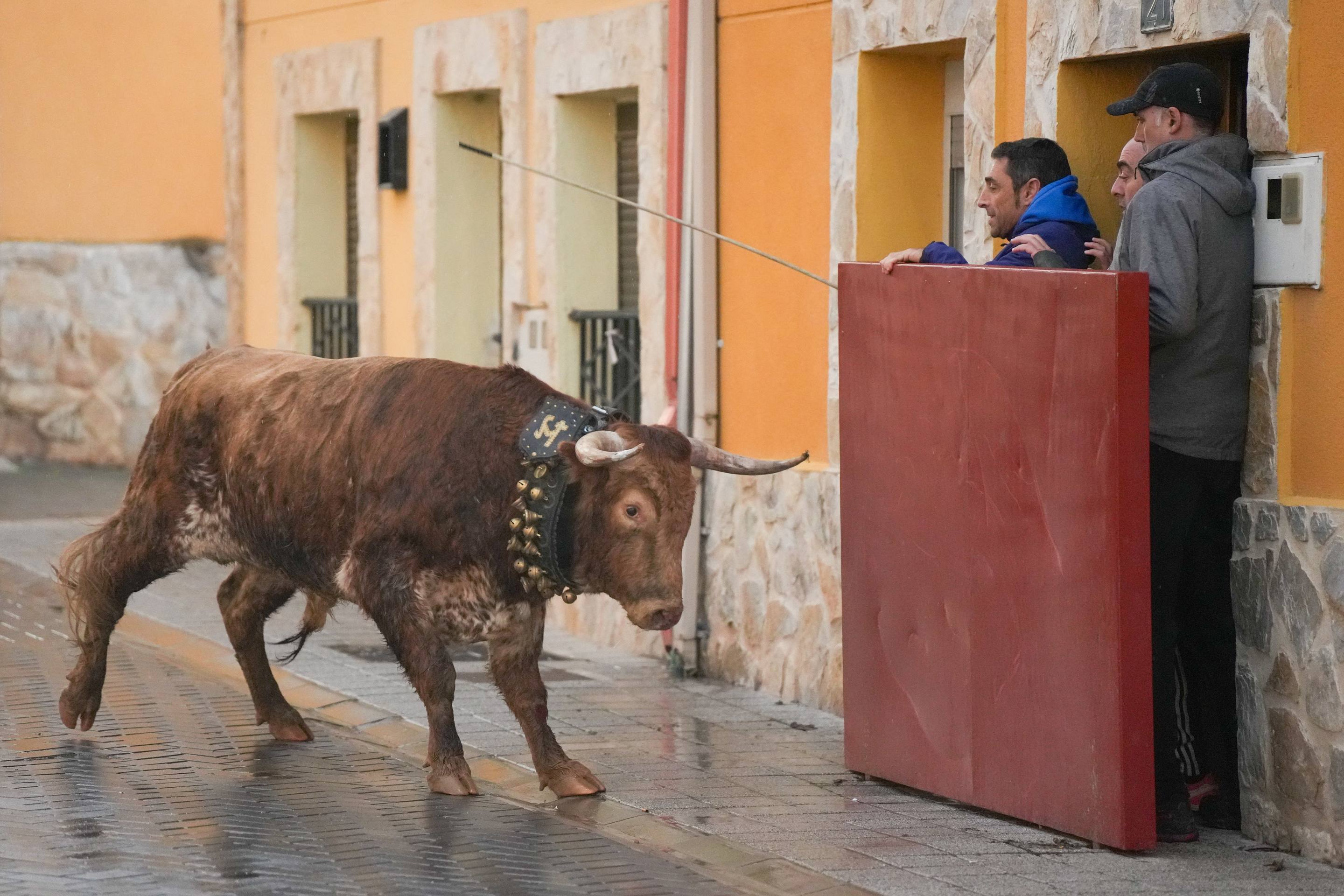 El encierro de este domingo en Traspinedo, en imágenes