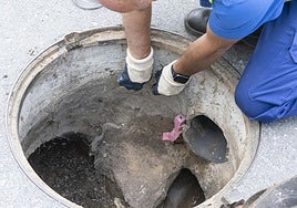 Un operario coloca raticida en una alcantarilla de la ciudad.