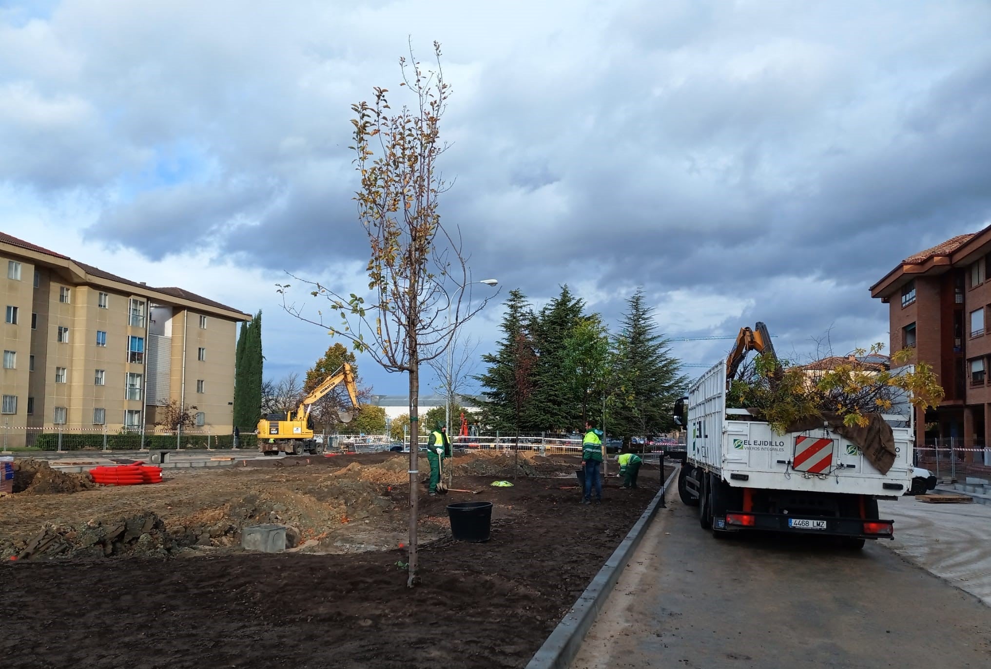 Plantación de árboles en Calderón de la Barca.