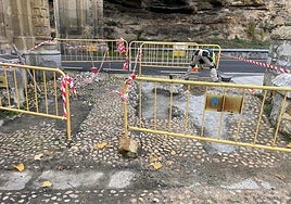 Trabajos de reparación del emborillado en el entorno de La Fuencisla.