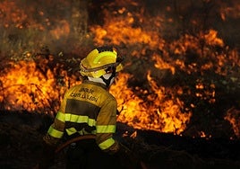 Un trabajador del operativo en un incendio forestal en Salamanca el pasado mes de agosto.