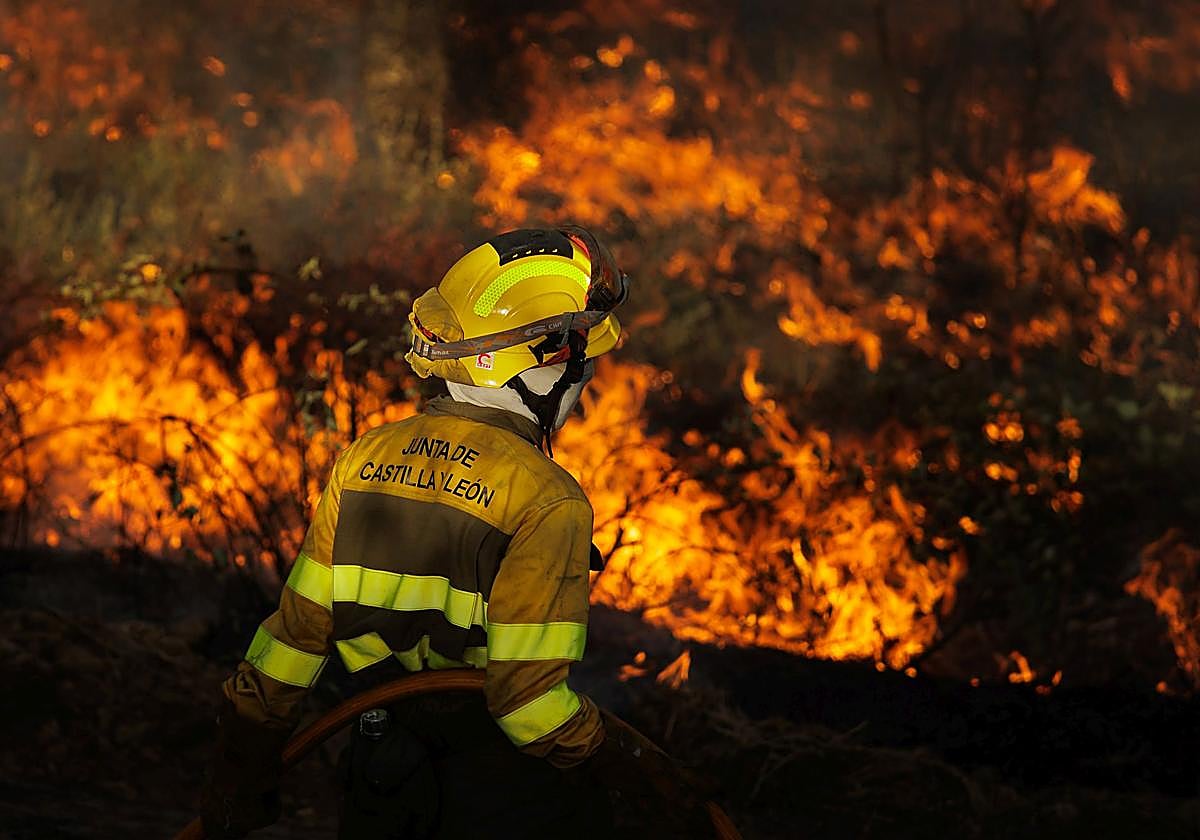 Un trabajador del operativo en un incendio forestal en Salamanca el pasado mes de agosto.