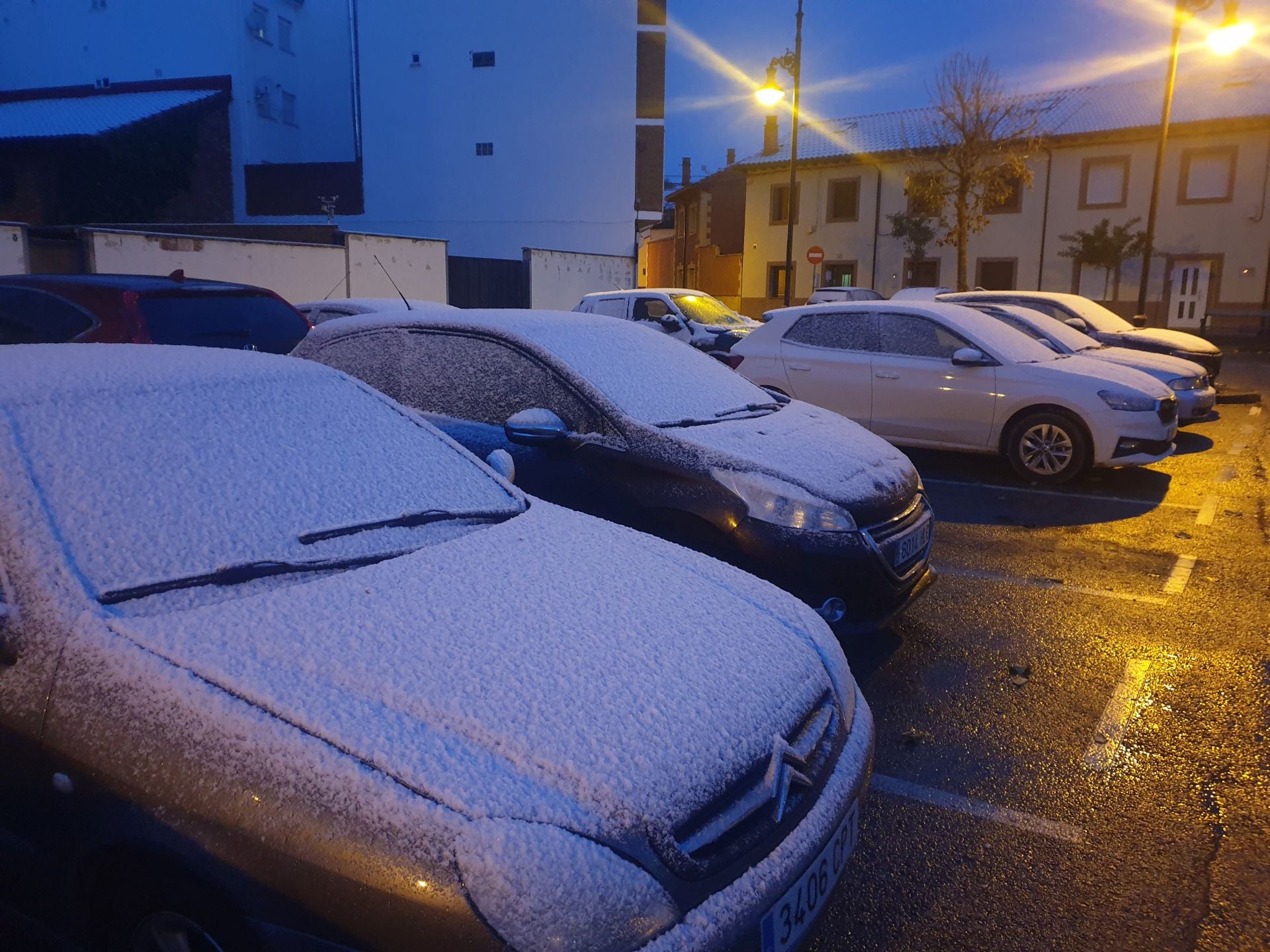 Llegan los primeros copos de nieve a la Montaña Palentina