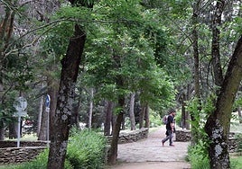 Parque del cementerio de Segovia.