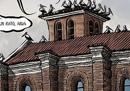 Sansón a la contra: el nido