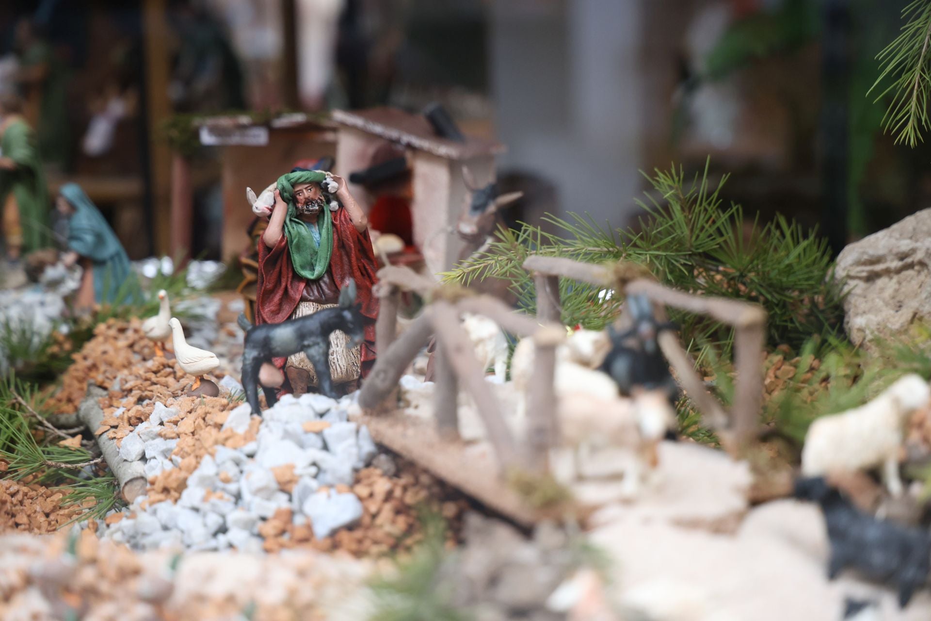 Las imágenes de la preparación de la Navidad en Valladolid en el mes de noviembre