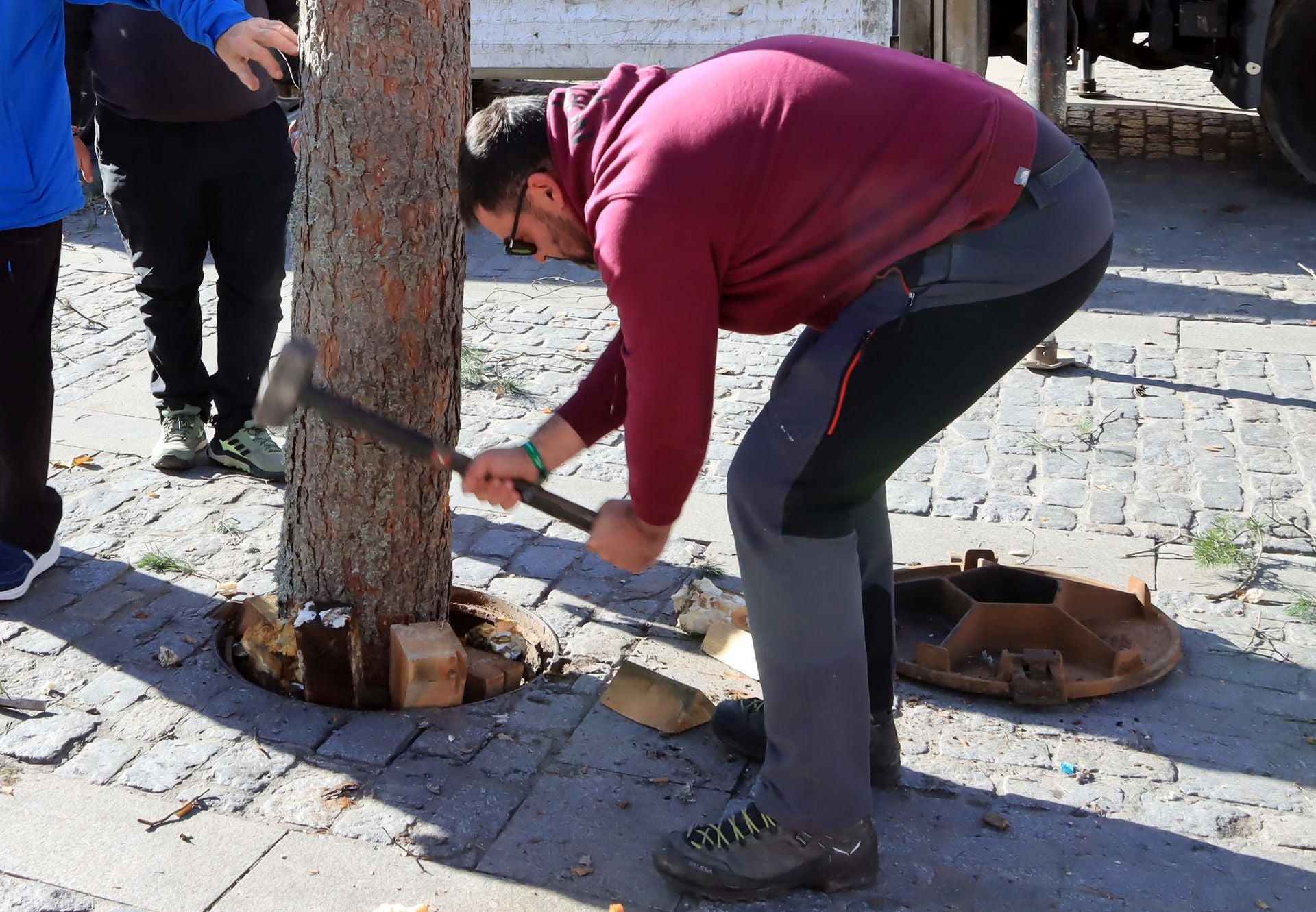 Así ha llegado el pino navideño de San Lorenzo