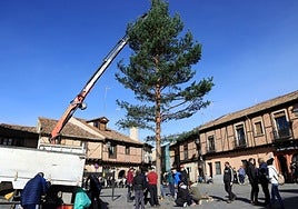 Instalación del pino navideño en la plaza de San Lorenzo, este sábado.