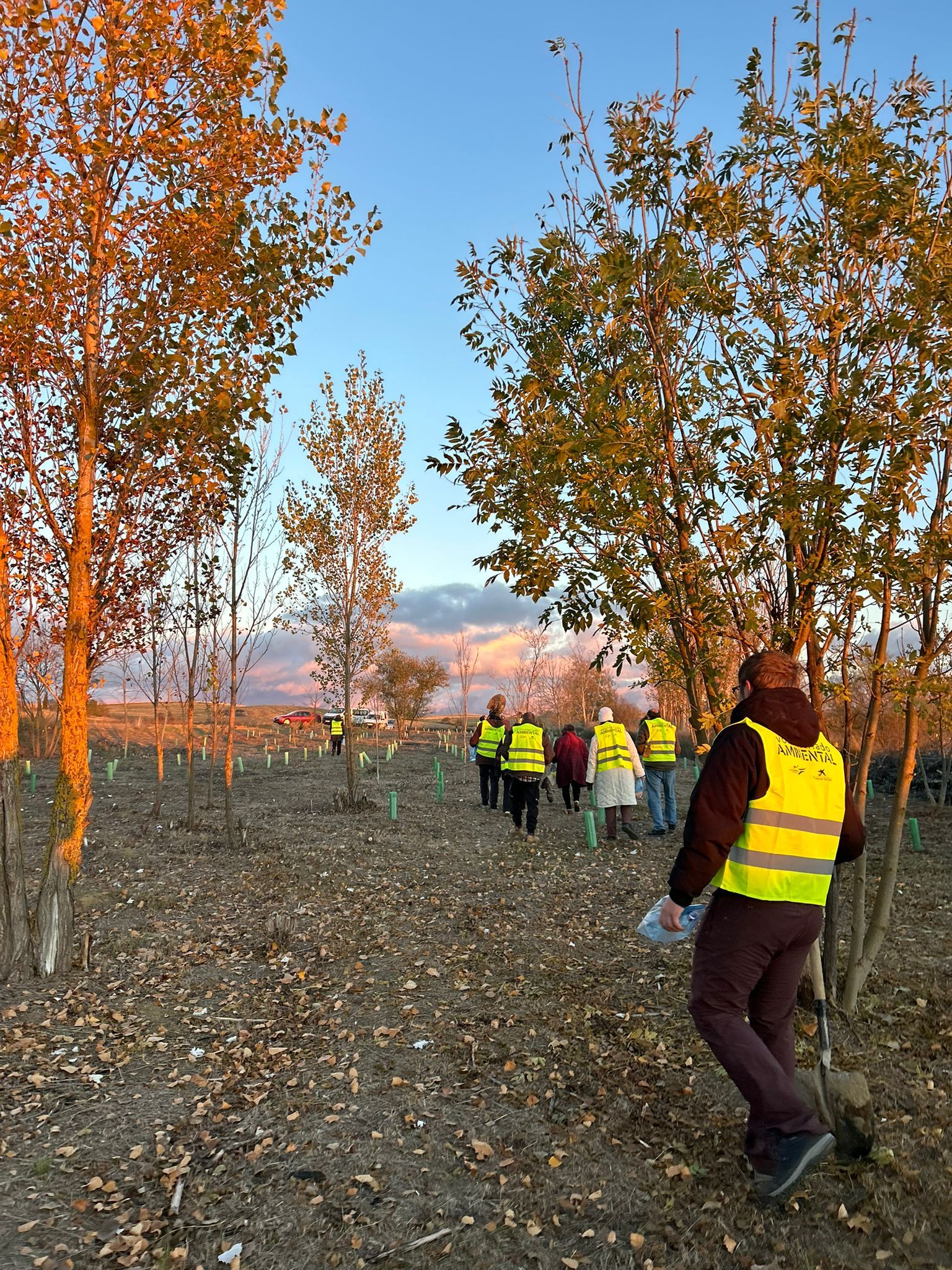 En imagénes la jornada de reforestación celebrada en Villacarralón