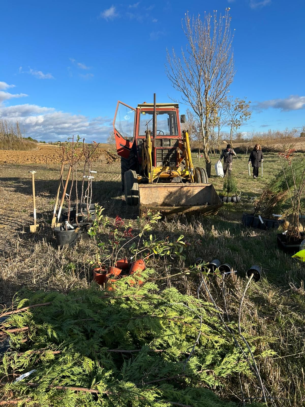 En imagénes la jornada de reforestación celebrada en Villacarralón