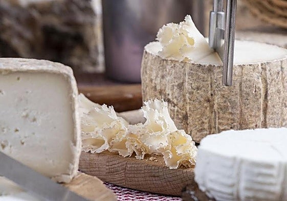 Quesos participantes en el certamen.