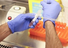 Laboratorio del Centro Nacional de Gripe en Valladolid.