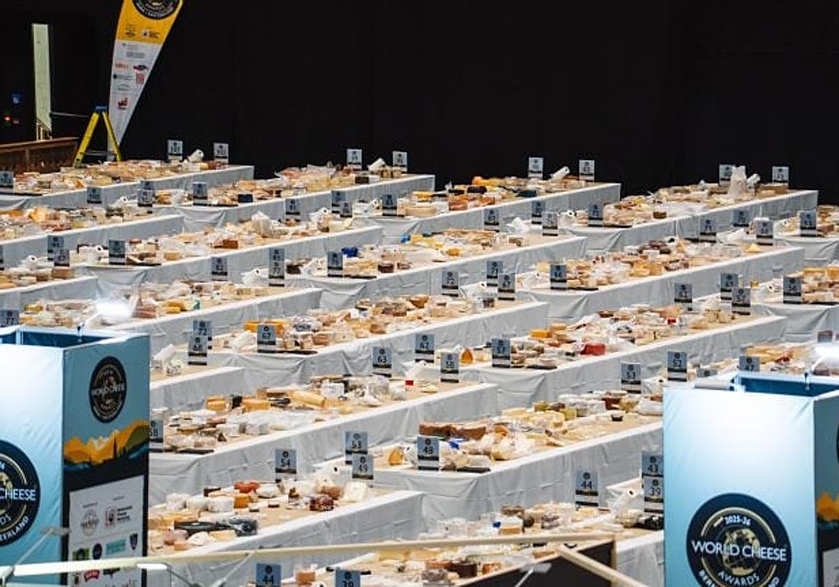 Quesos participantes en el certamen.
