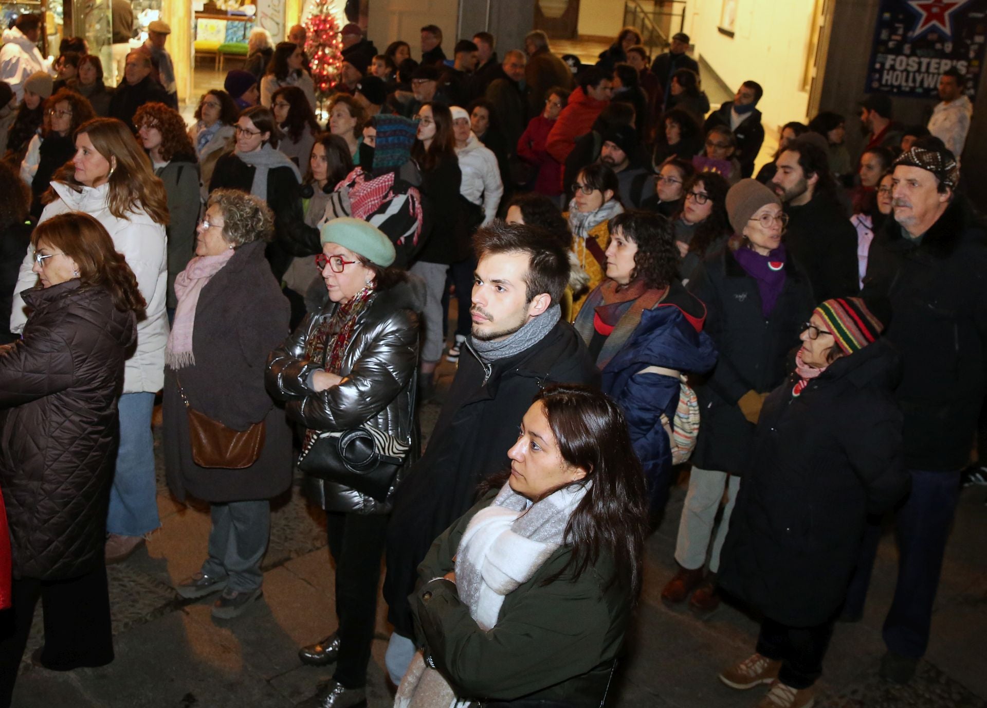 La concentración del 25N en Segovia, en imágenes
