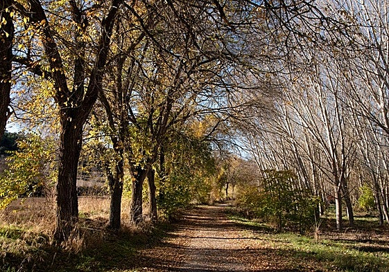 Paseo de la Ruta Turística 'De Jeromín a Juan de Austria' a la altura de La Santa Espina.