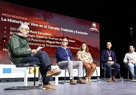 Ponencia sobre la tradición y evolución del vino en el Cerrato, hoy en Baltanás.