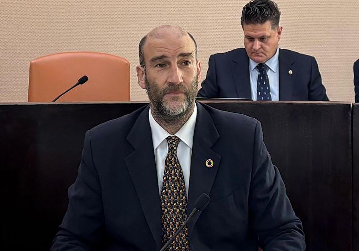 El diputado de Vox Pedro Varela, durante un Pleno.