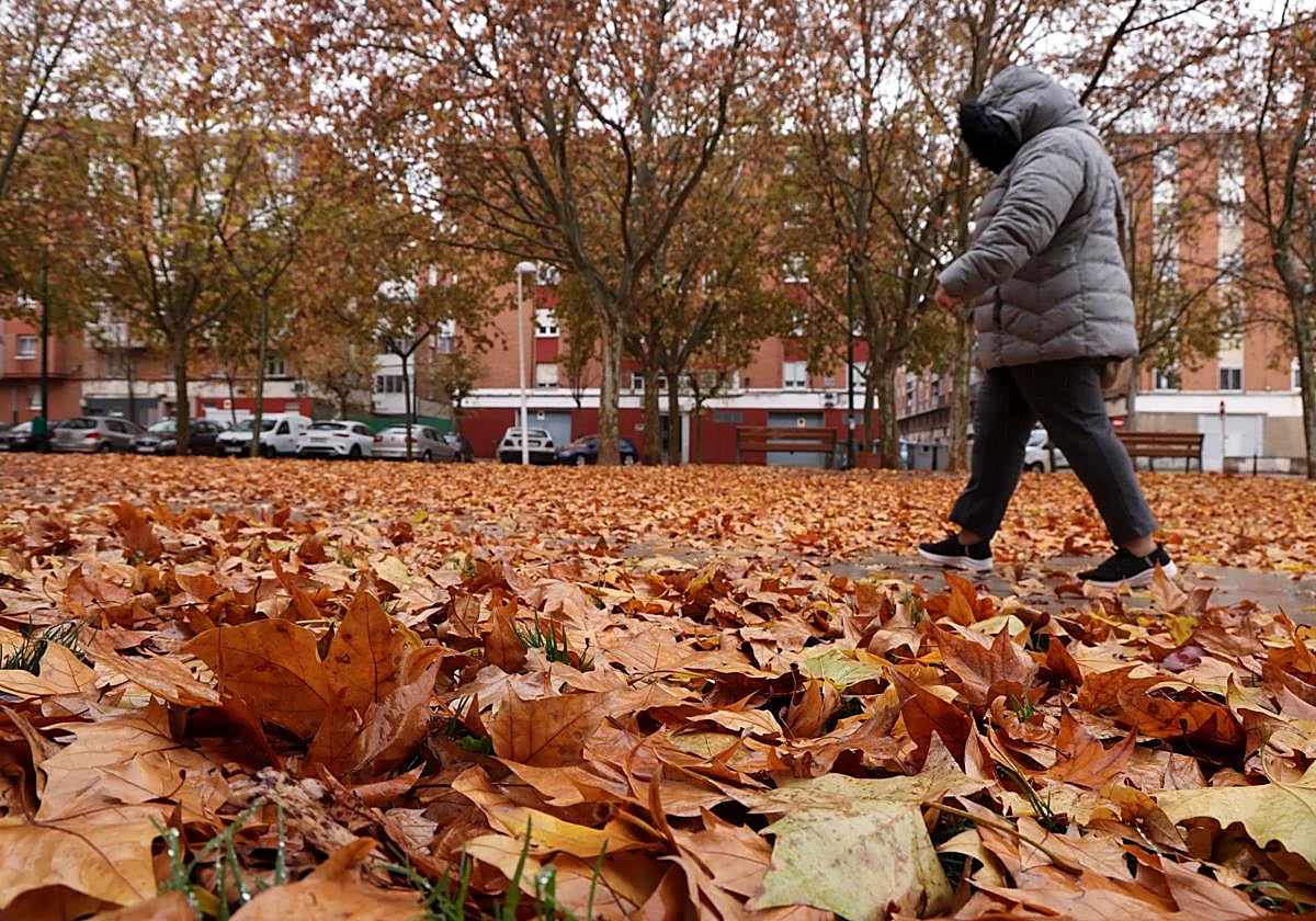 Una mujer camina por la plaza Ribera de Castilla, alfombrada de hojas secas.
