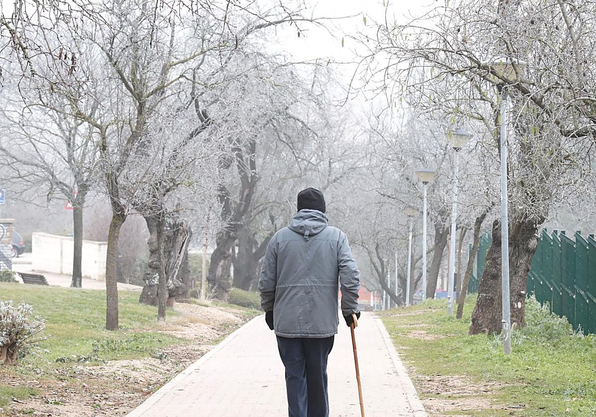 Imagen de archivo de una helada y cencellada en Valladolid.