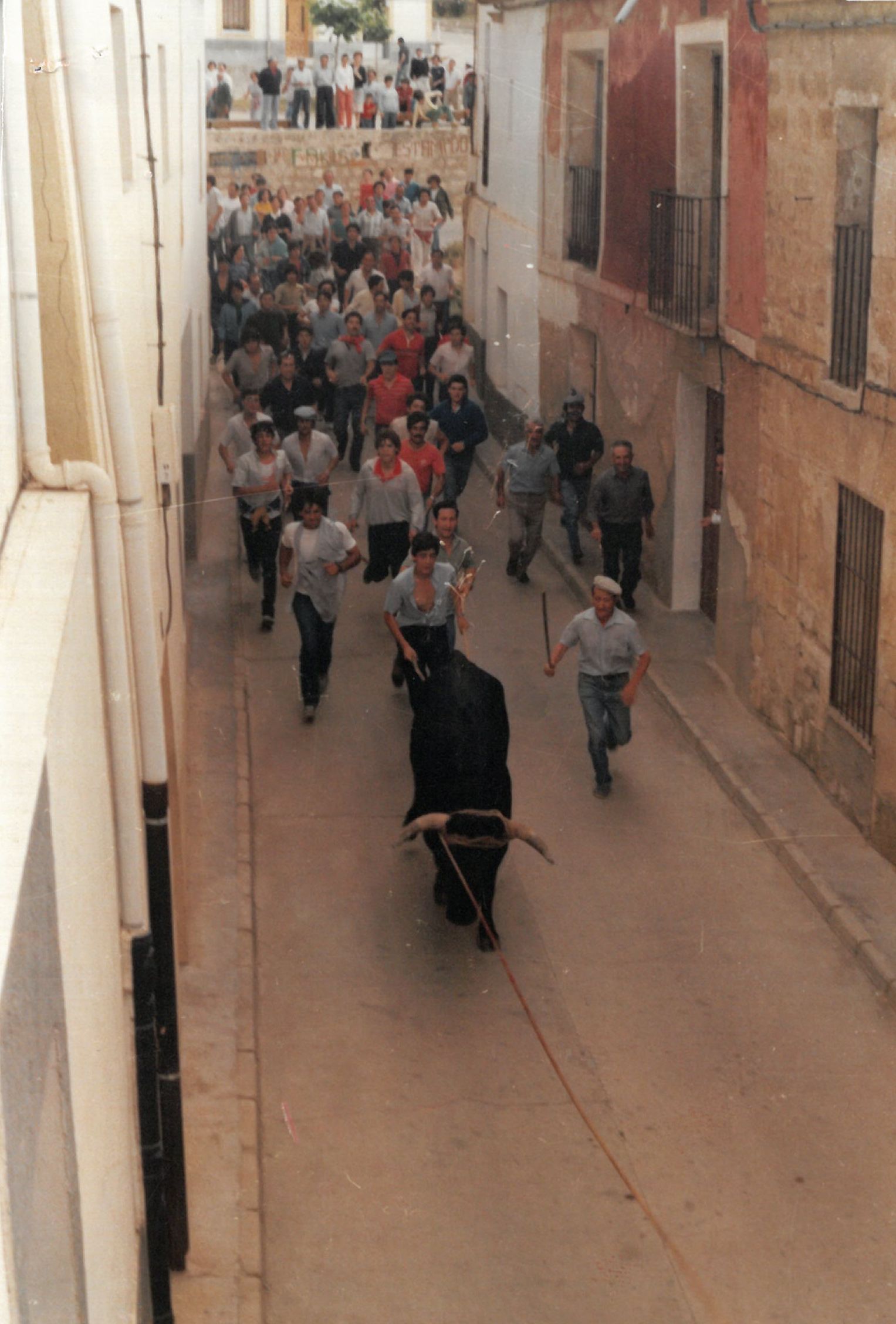 Toro enmaromado de Mucientes. Junio de 1992.