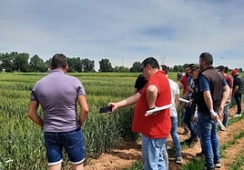 Una imagen de archivo de un grupo de agricultores visita la parcela experimental de trigo blando del Itacyl.