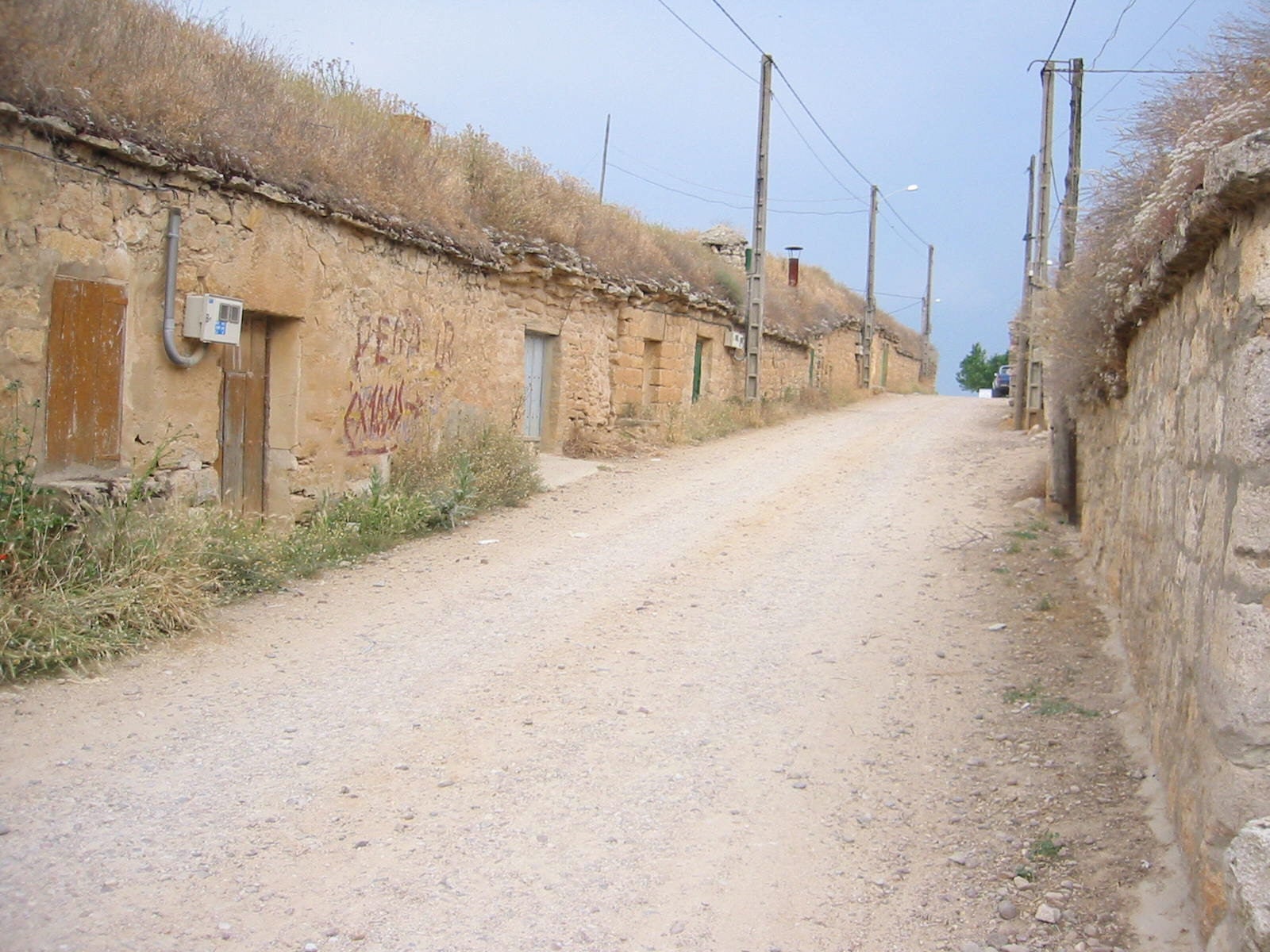 Senderos que conducen a las bodegas de Mucientes. 21 de junio de 2004.