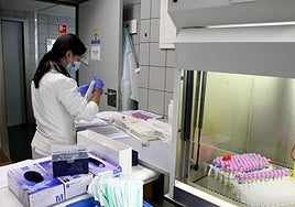 Una profesional sanitaria etiqueta muestras en el laboratorio del Complejo Asistencial.