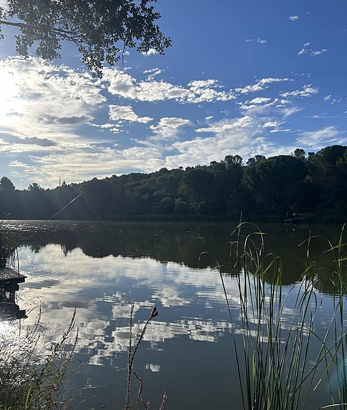 Imagen secundaria 2 - Monasterio de La Santa Espina, exposición de mariposas y embalse. 