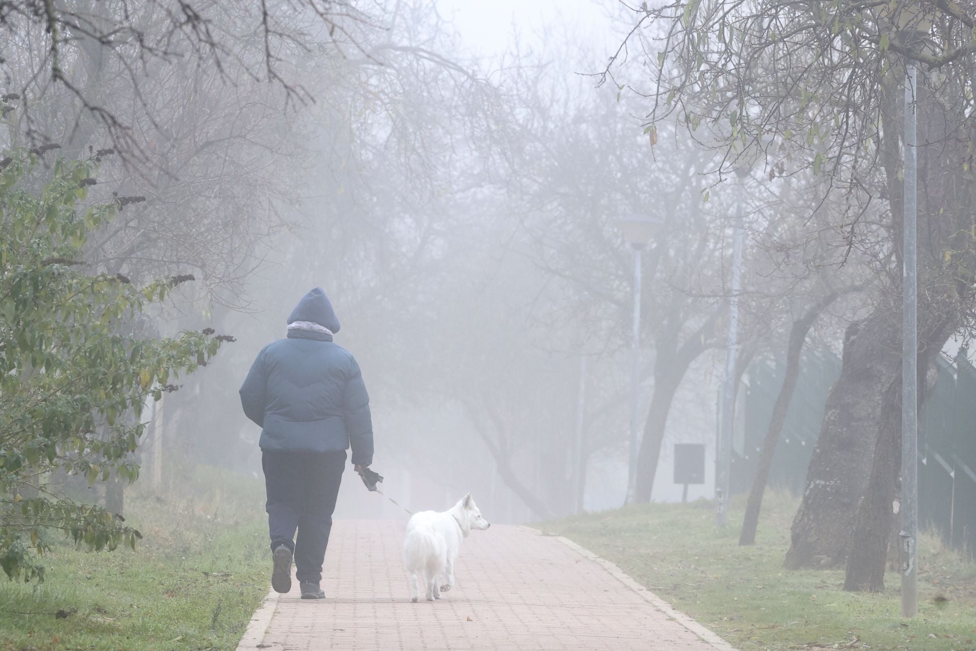Paseo de los Almendros, Parquesol