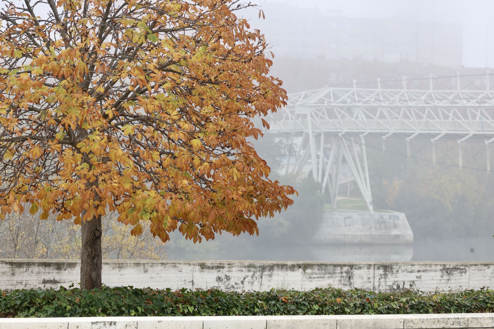 Vistas desde el puente Juan de Austria