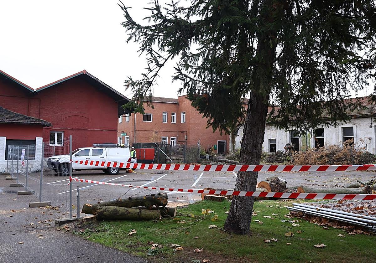 Zona acotada en la parte de Recondo, con el edificio que se va a demoler a la derecha y árboles talados.