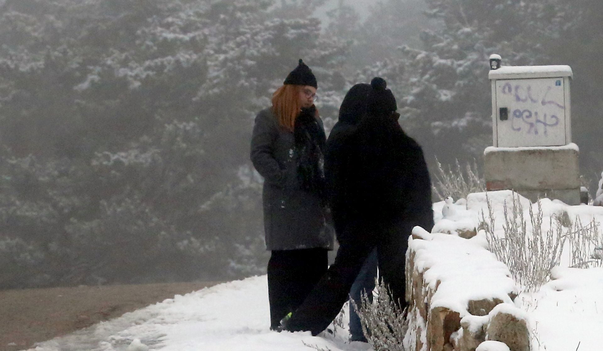La nieve alfombra la sierra