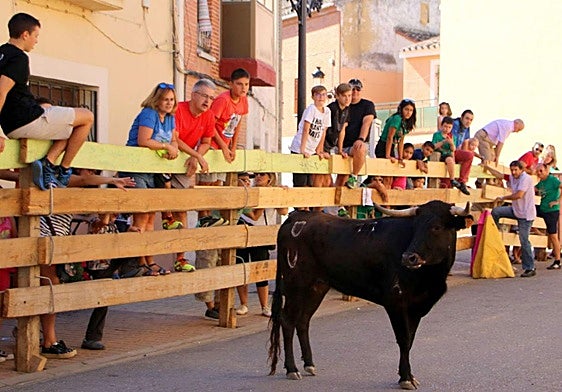 Encierros en Torquemada.