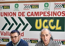 Uccl analiza en una rueda de prensa la situación de la dermatosis nodular.