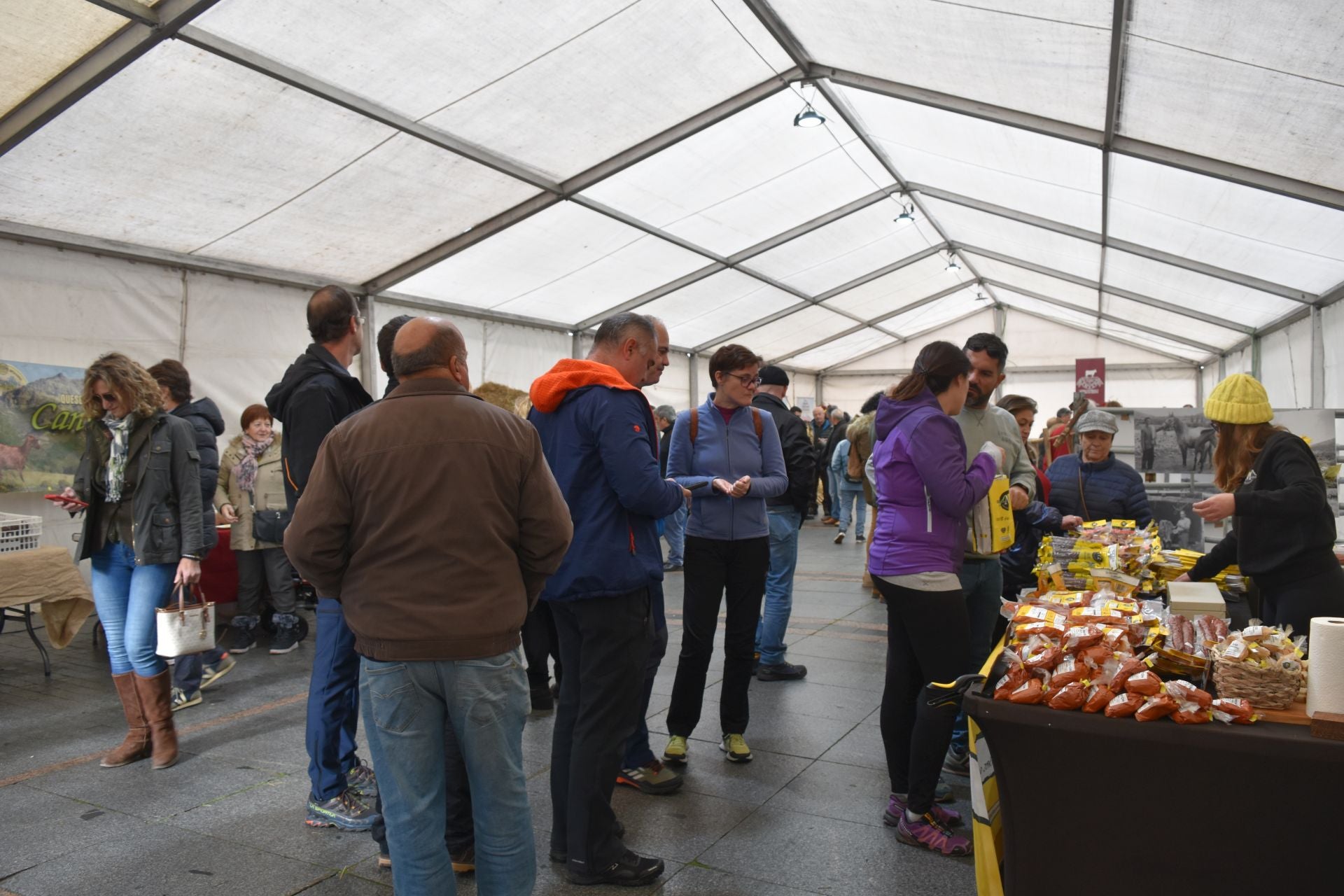 Cervera acoge la Feria de Ganado sin reses vivas
