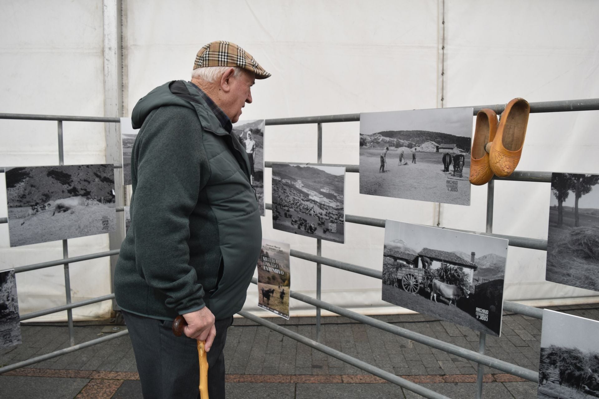 Cervera acoge la Feria de Ganado sin reses vivas
