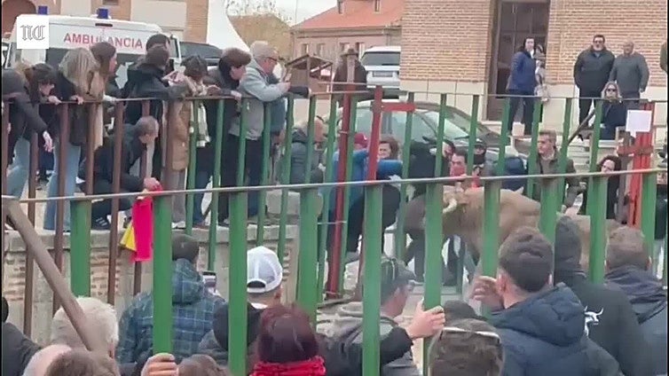 Corneado un hombre en una suelta de toros en un pueblo de Ávila