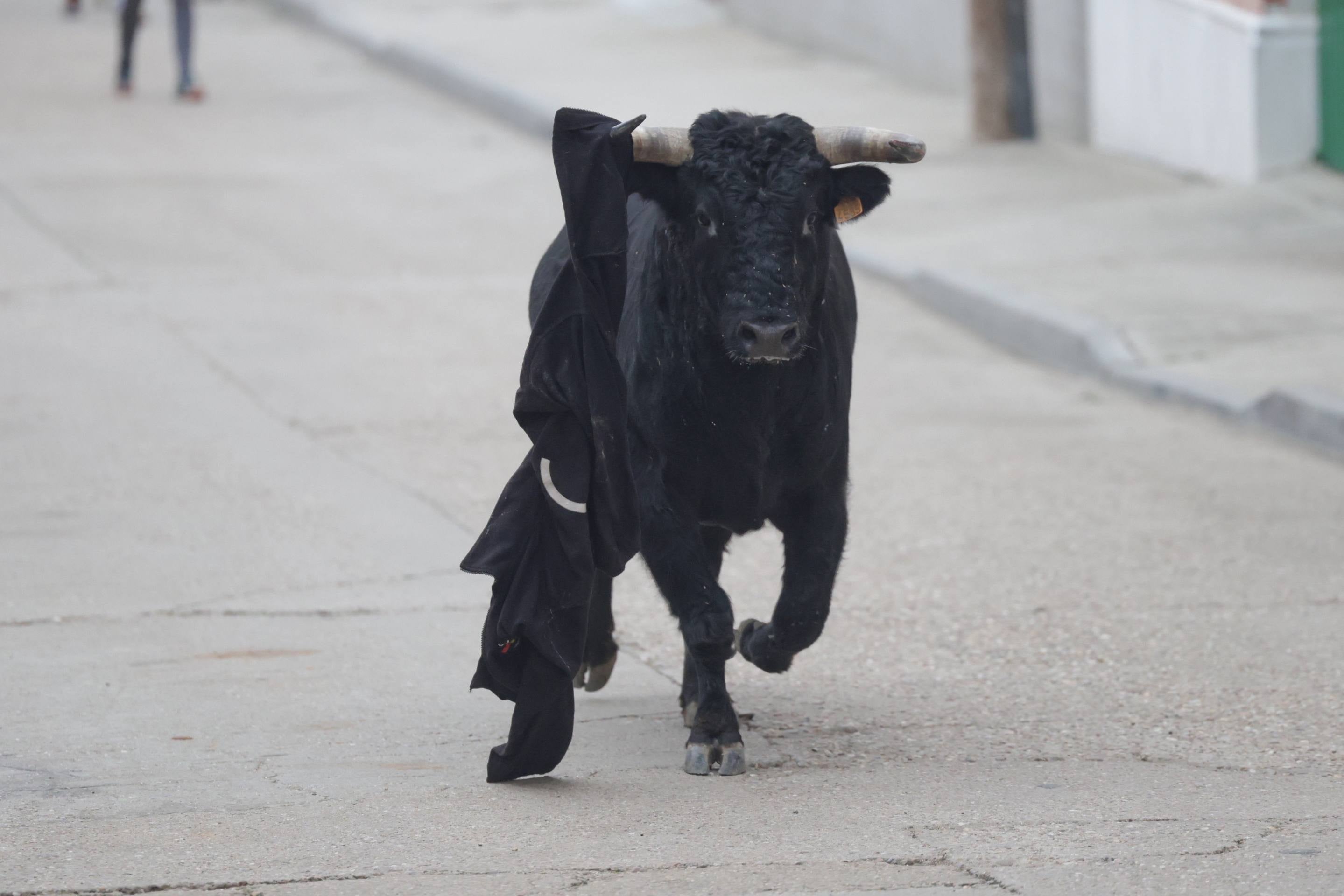 El encierro en Pollos, en imágenes