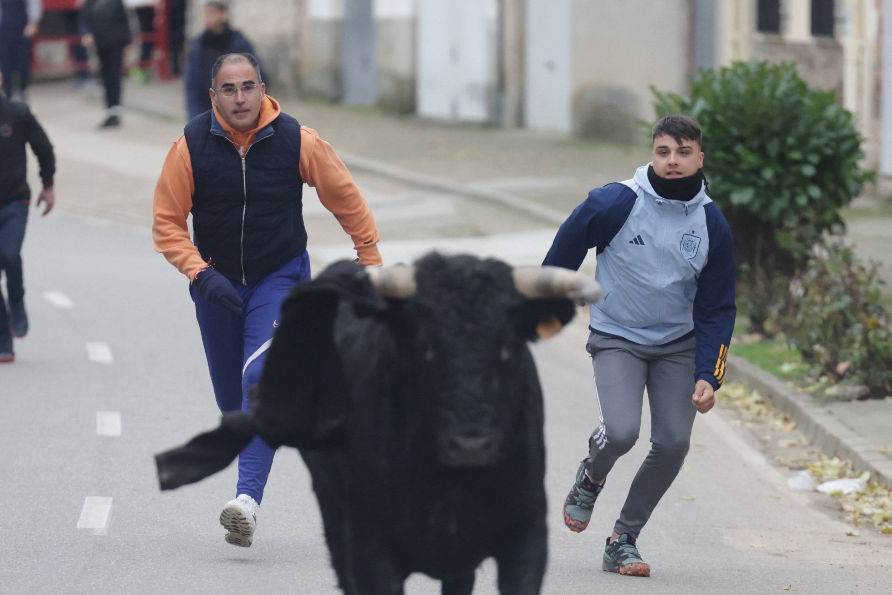 El encierro en Pollos, en imágenes