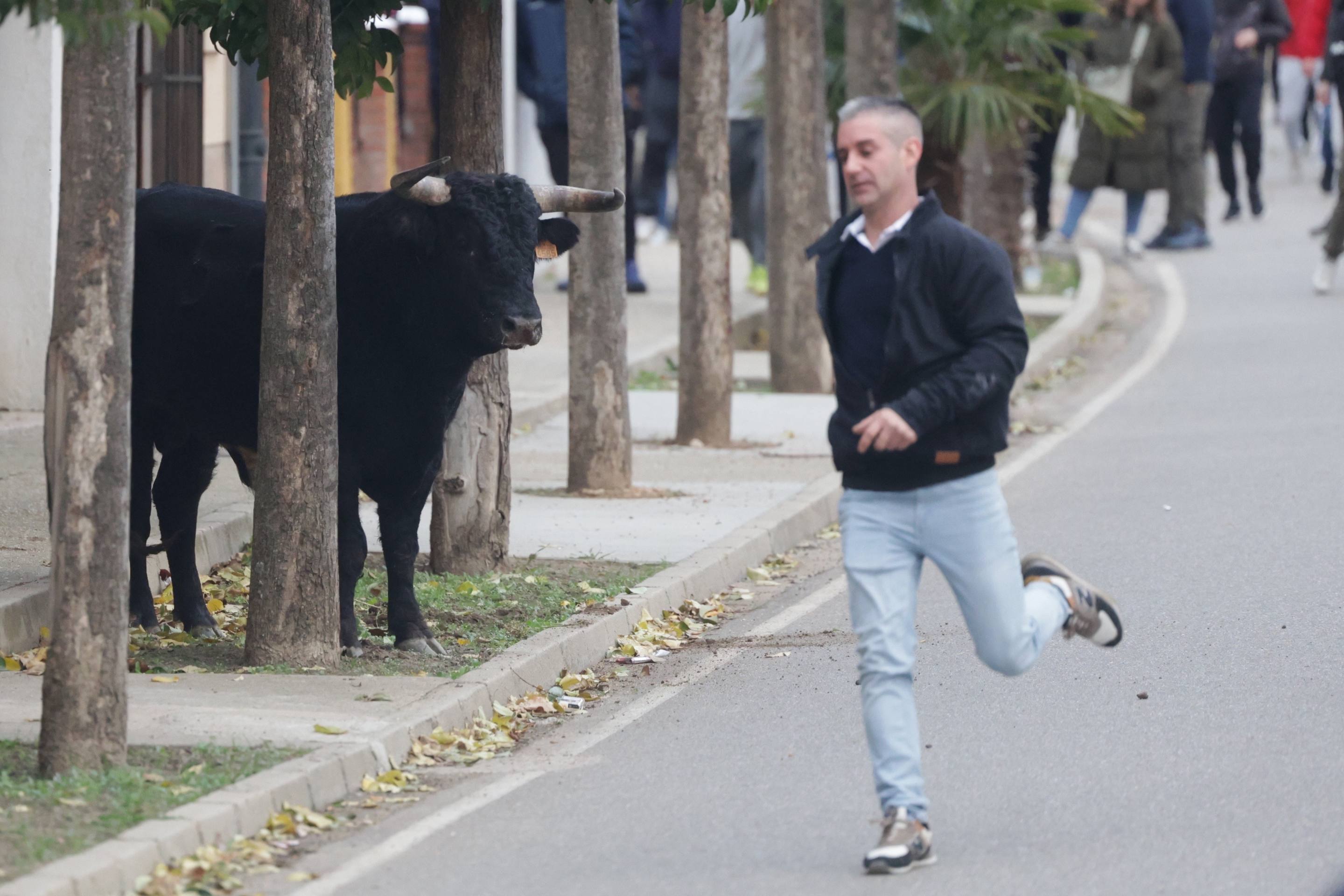 El encierro en Pollos, en imágenes
