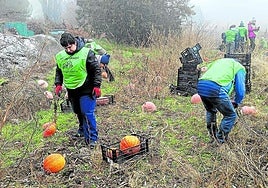 Participantes en la 'rebusca' organizada este fin de semana en Cuéllar.