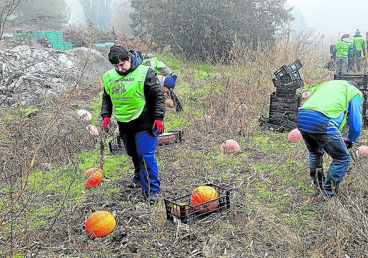 Participantes en la 'rebusca' organizada este fin de semana en Cuéllar.