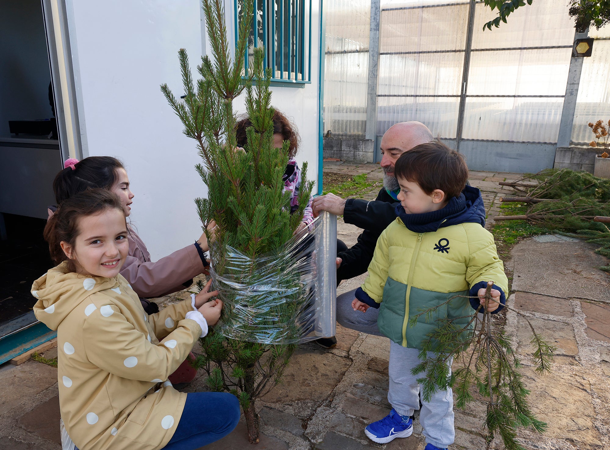 Vuelve el tradicional mercado de abetos de Palencia