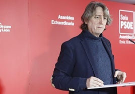 El secretario general del PSOE en Castilla y León, Carlos Martínez.