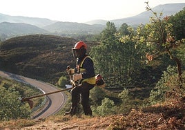 Un trabajador realiza labores de desbroce en el monte de Cezura, en Palencia, en una imagen de archivo.